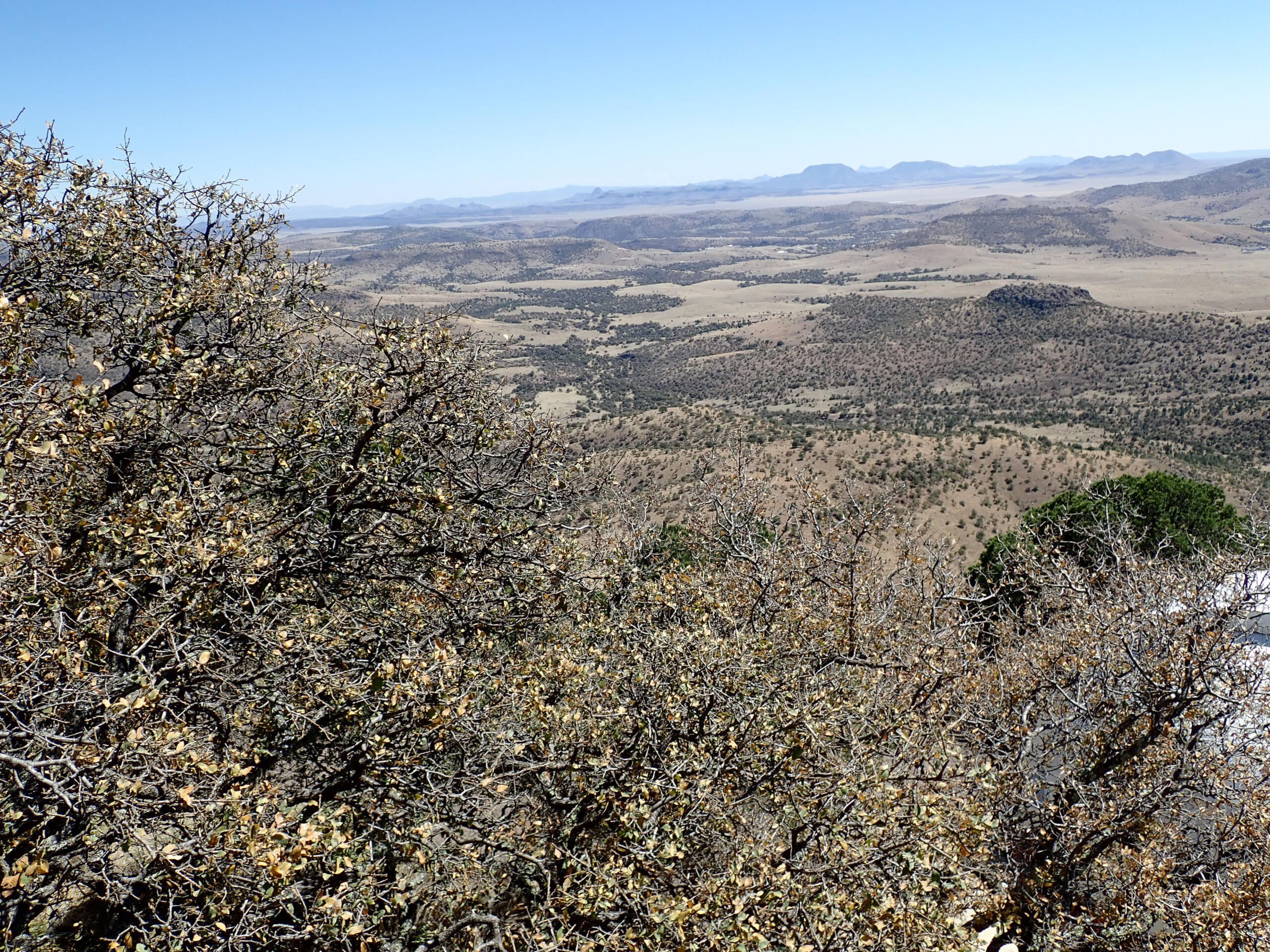 Texas landscape aerial view