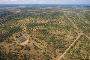 aerial view of land