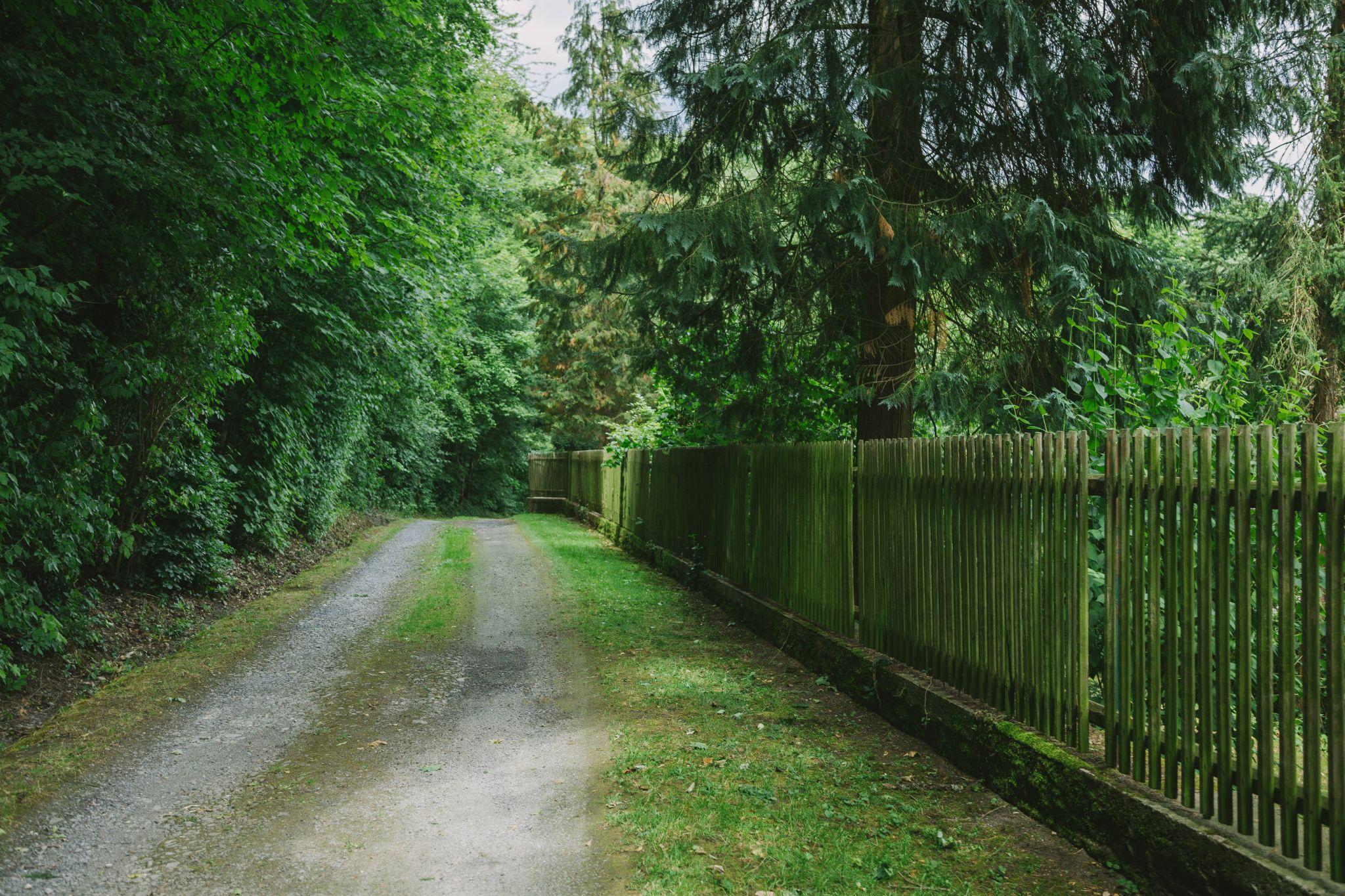 Wooden fence along a rural property line illustrating boundary survey considerations
