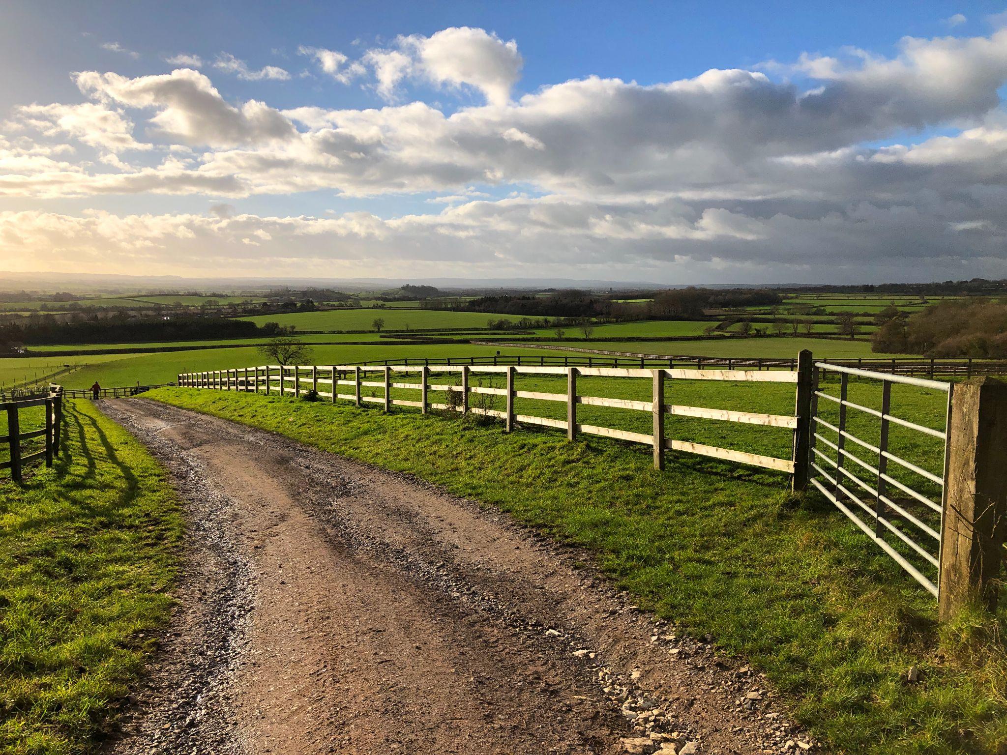 Fence lines and rural property boundaries that may differ from surveyed property lines