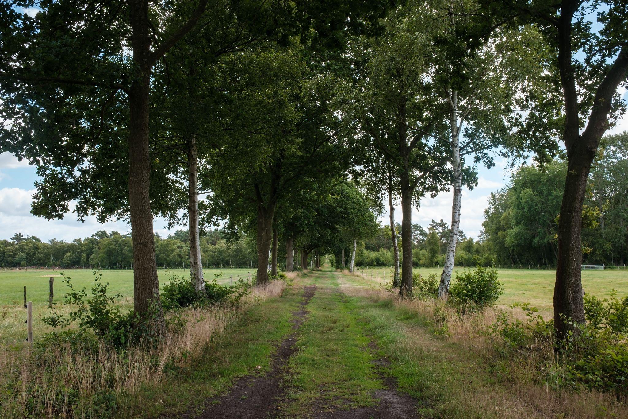 Rural property access path that may involve easement or access considerations