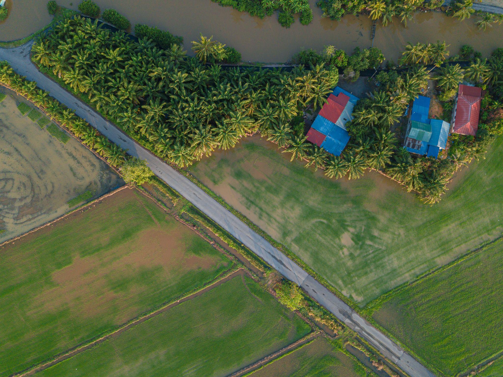 Aerial view of homes, roads, and neighboring land parcels