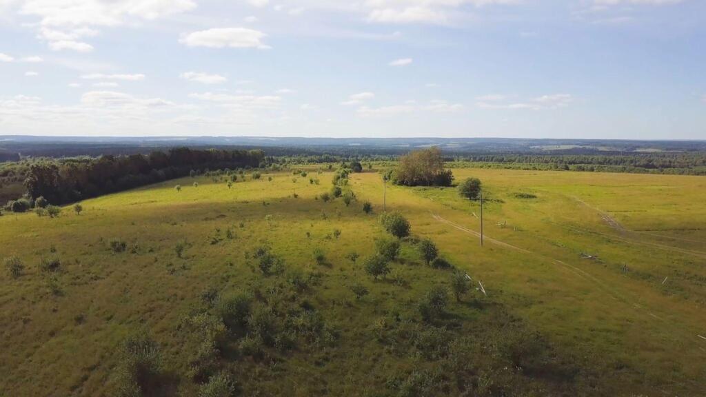 Open rural land with fields and scattered trees under a bright sky