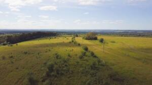 Open rural land with fields and scattered trees under a bright sky
