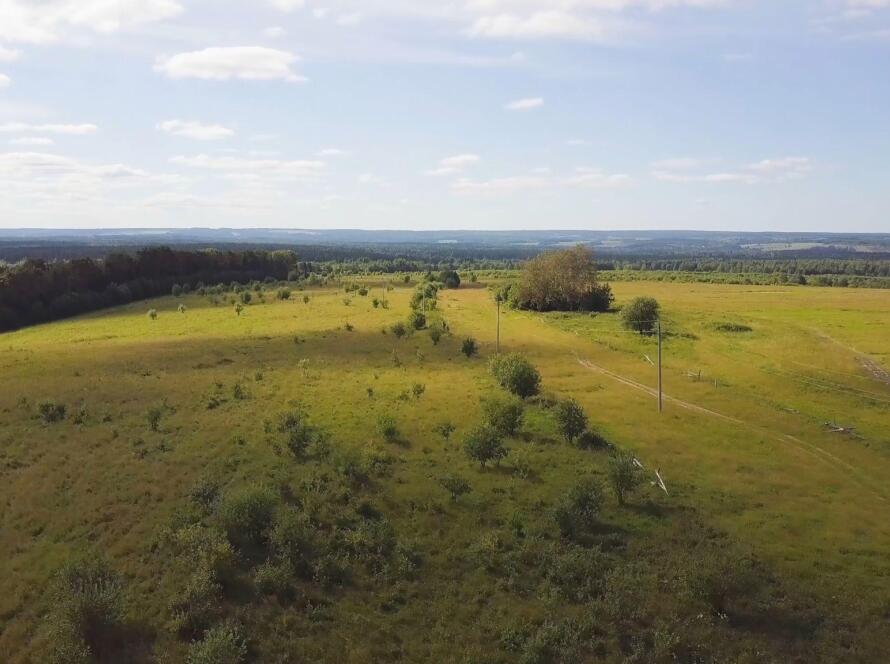 Open rural land with fields and scattered trees under a bright sky